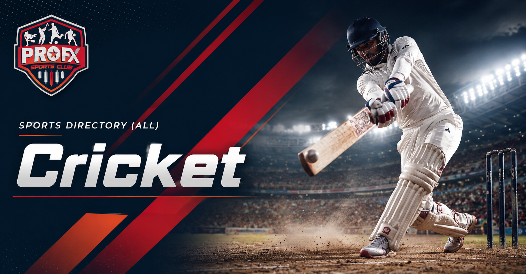 Cricket Challenge